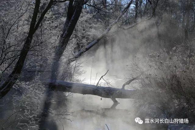 侠客风云传OL