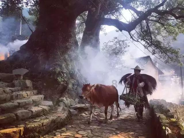 救援选美皇后